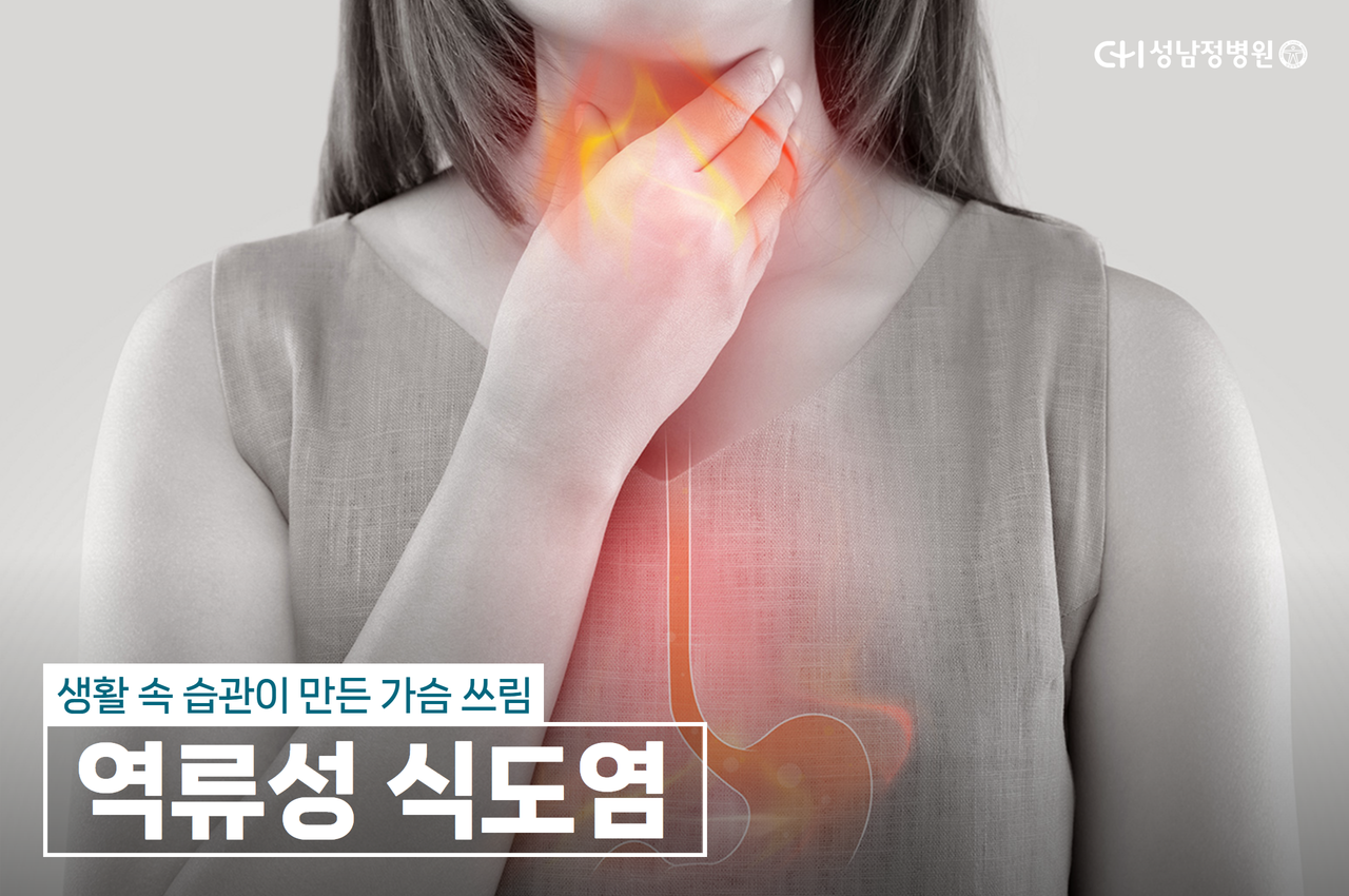 건강정보